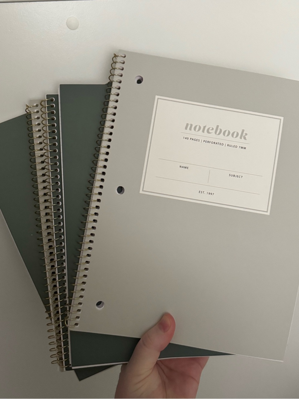5 lined notebooks from Indigo